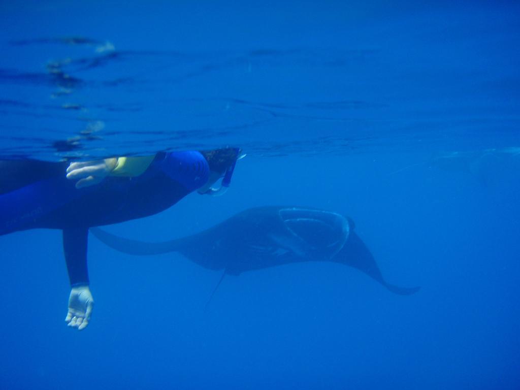 Mai Dive' Astrolabe Reef Resort Naqara Eksteriør billede