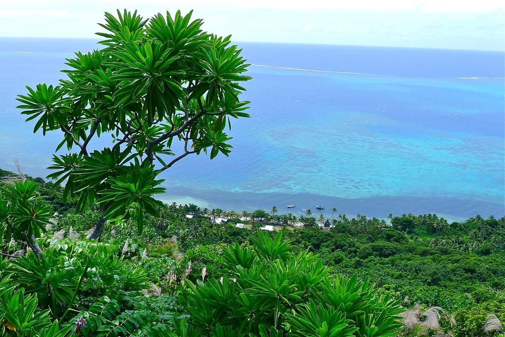 Mai Dive' Astrolabe Reef Resort Naqara Værelse billede