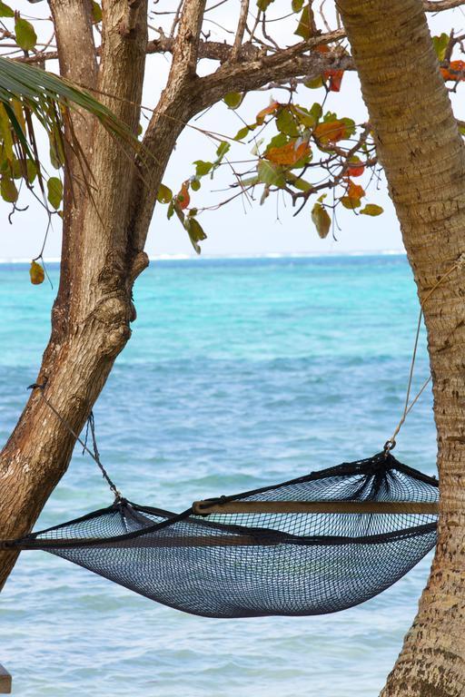 Mai Dive' Astrolabe Reef Resort Naqara Værelse billede