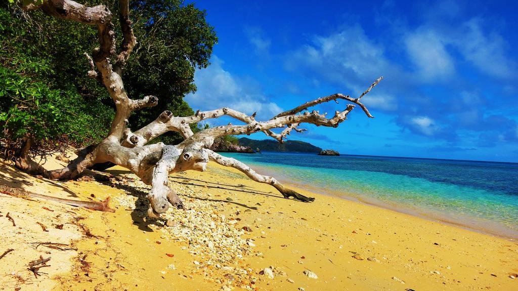 Mai Dive' Astrolabe Reef Resort Naqara Eksteriør billede