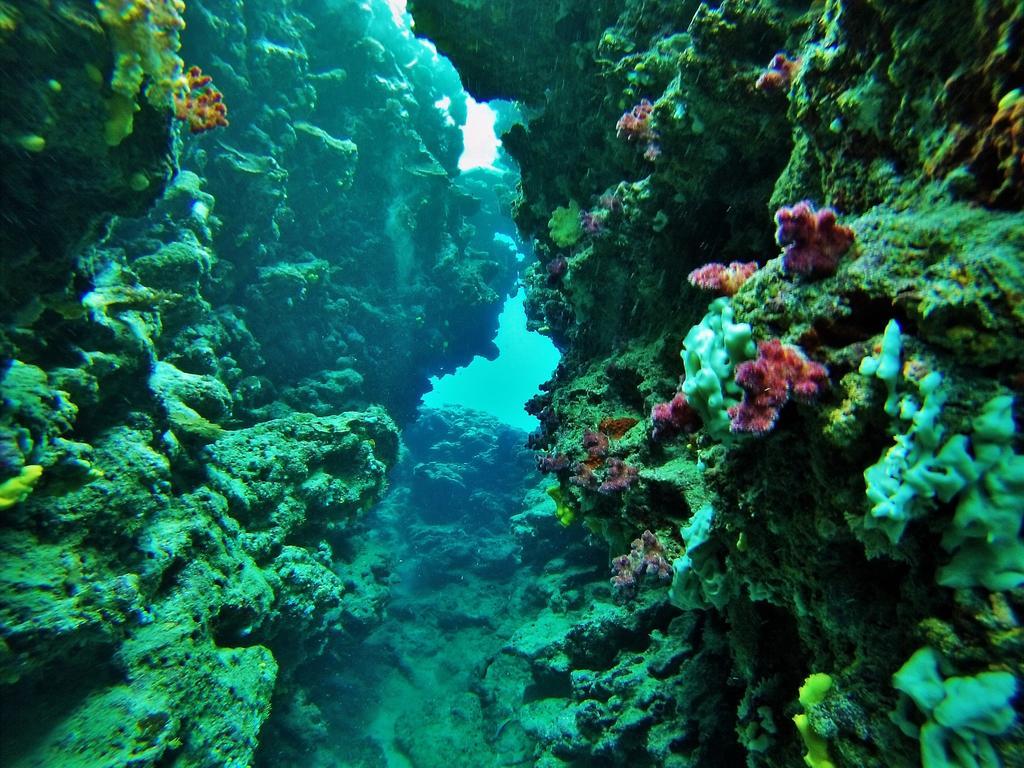 Mai Dive' Astrolabe Reef Resort Naqara Eksteriør billede