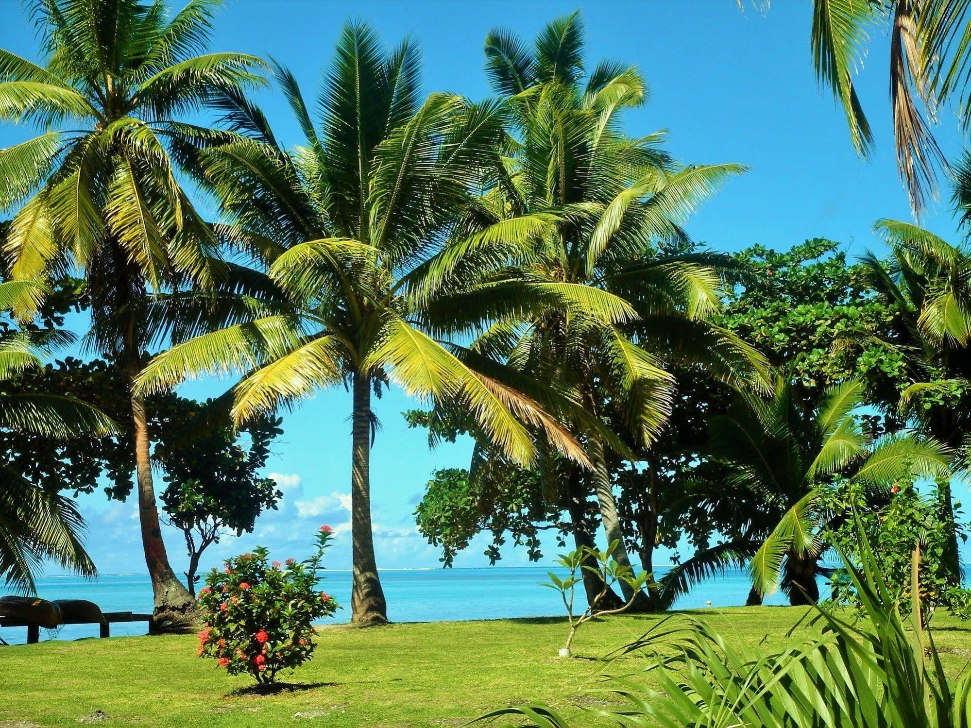 Mai Dive' Astrolabe Reef Resort Naqara Eksteriør billede